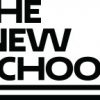 United Nations Summer Study TNS_Logo3_Large_RGB