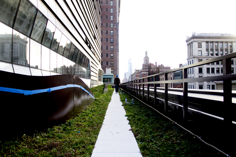 Parsons alumnus Josh Stone (M.Arch '13) walks across the University Center's green roof last October. (Photo by Kasia Broussalian)