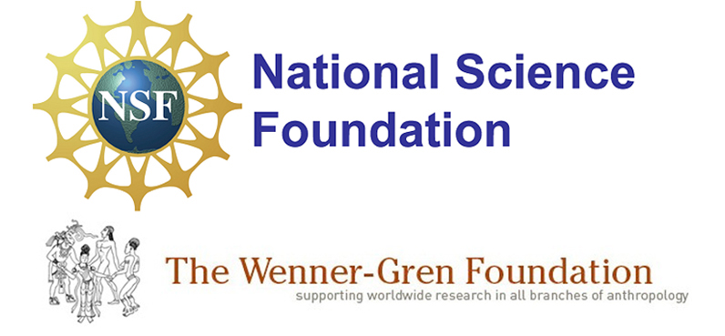 Национальный научный фонд. National Science Foundation (NSF),. NSF логотип. Знак NSF (National Sanitation Foundation).