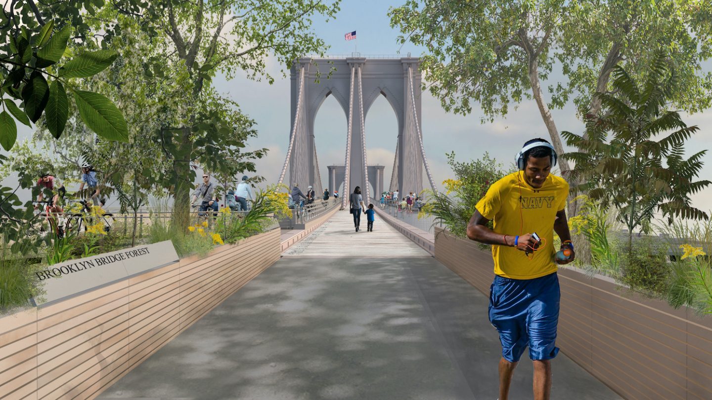 Brooklyn Bridge Forest, design winner of 