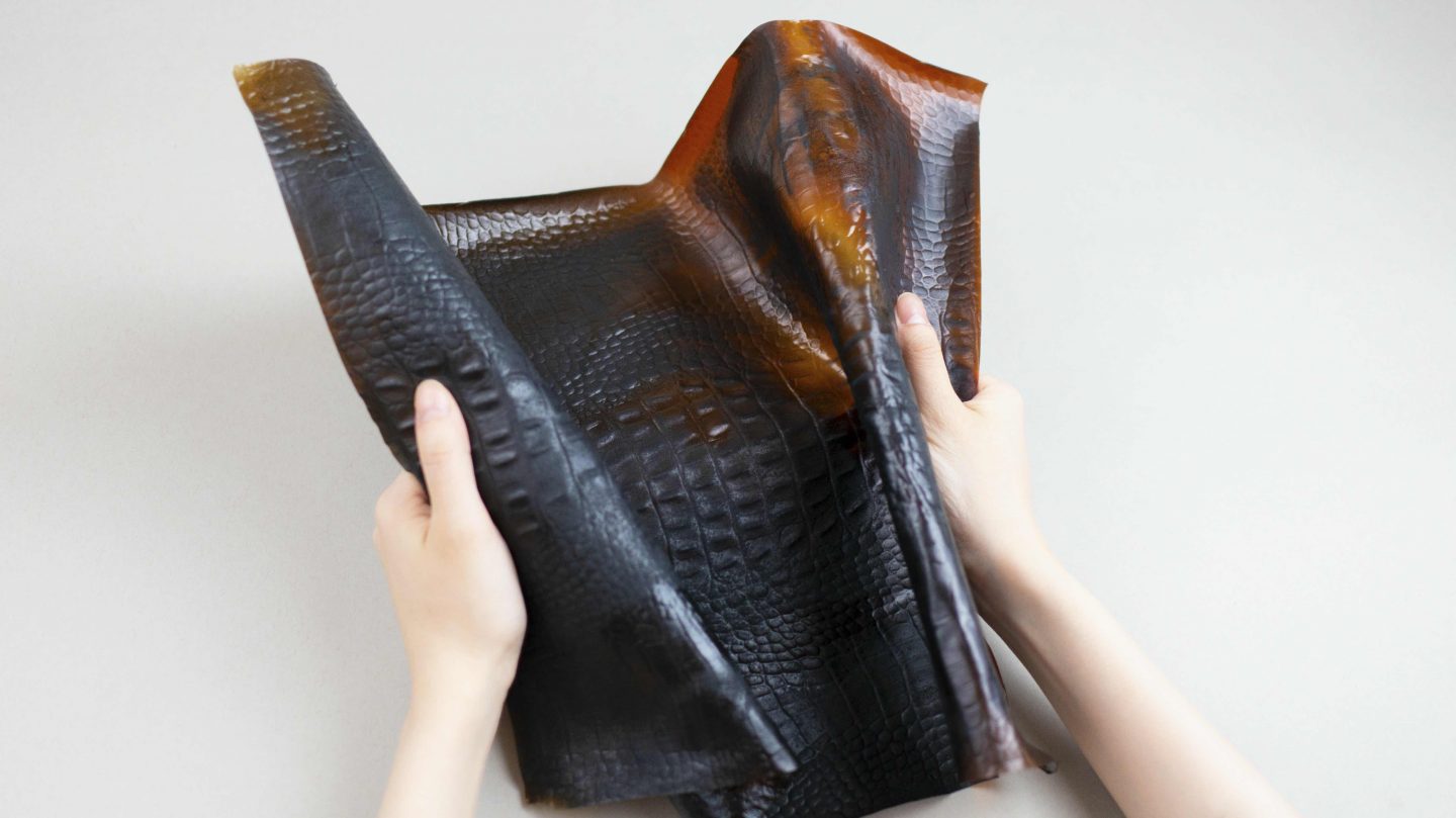 Tômtex is a biomaterial created from shell seafood waste and coffee grounds that aims to be an alternative to faux leather.