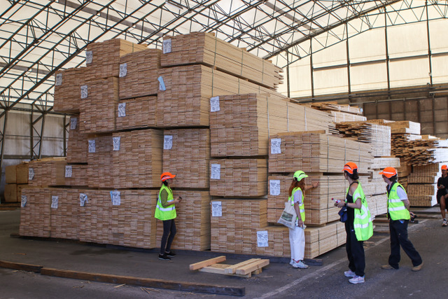 Site visit to Westas Sawmill, photo by Tiina Otala