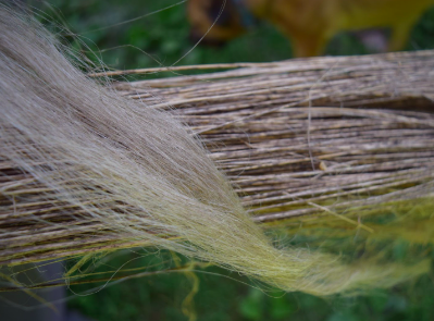 The exhibition aims to bring discourse to revitalization efforts of flax for linen textile production in North America, as well as highlight and display the use of linseed oil and shive byproducts for the built environment