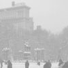 From your TCDS friends in New York Picture holidays bw